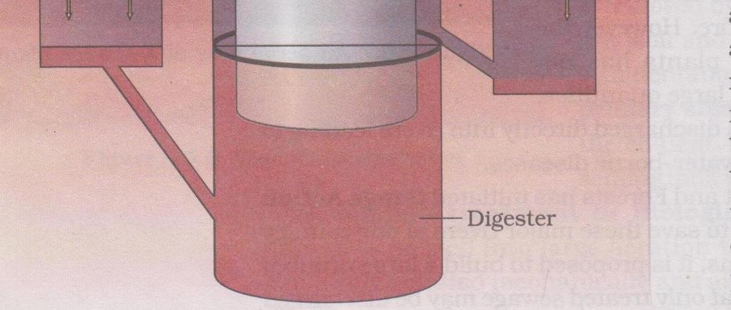 Biogas plant Proper diagram and labeling (1/2x6=3) (a) (i)wuchereria, (ii) Microsporum / Epidermophyton/ Trichophyton (iii)entamoeba (b) Proper disposal of waste/periodic cleaning/disinfection of