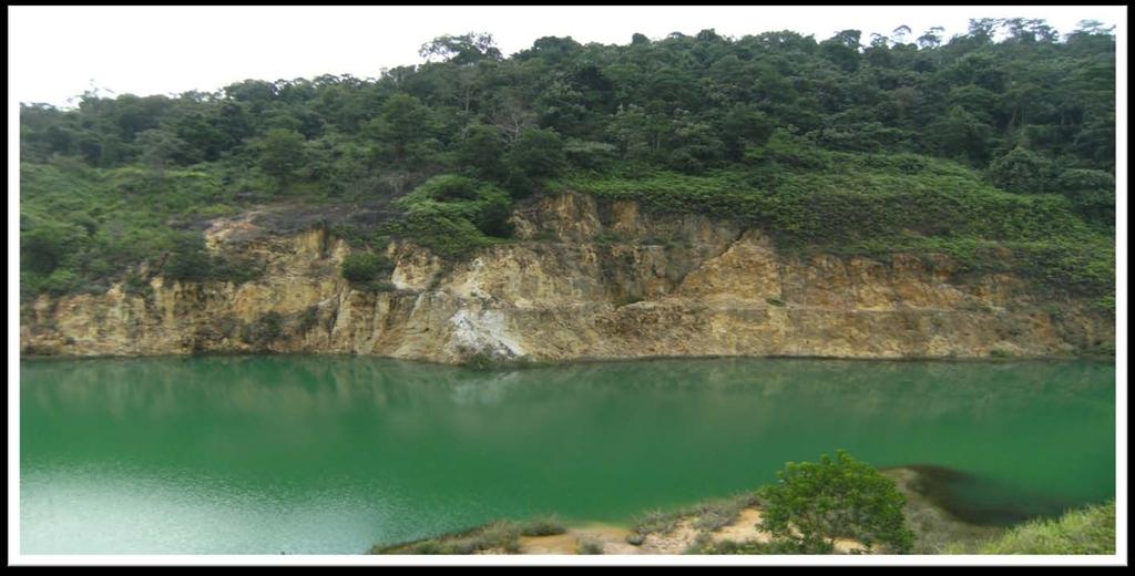 Gold Mine - Indonesia Site Characteristics: Slightly mineralised Tropical climate Very high rainfall Water