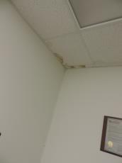 Background: A few of the ceiling tiles have stains from water leaks.