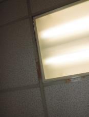 Background: Water penetration in ceiling tiles in several