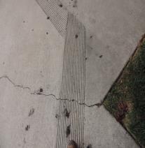linear cracking and spalling in the concrete sidewalks.