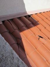 Project Description: Replace broken roof tiles.