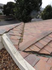 damage roof in the future. Project Description: Clean leaves and other debris off roof and gutters.