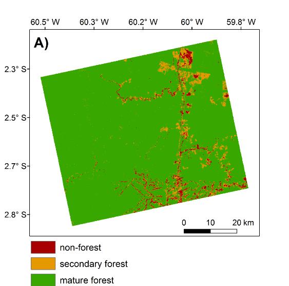 Retrieving the age of secondary forests 1: mapping mature forest (MF), non-forest (NF) and secondary forest (SF) by year in the 2007-2010 period Manaus (2010) Santarém (2010) Machadinho d Oeste