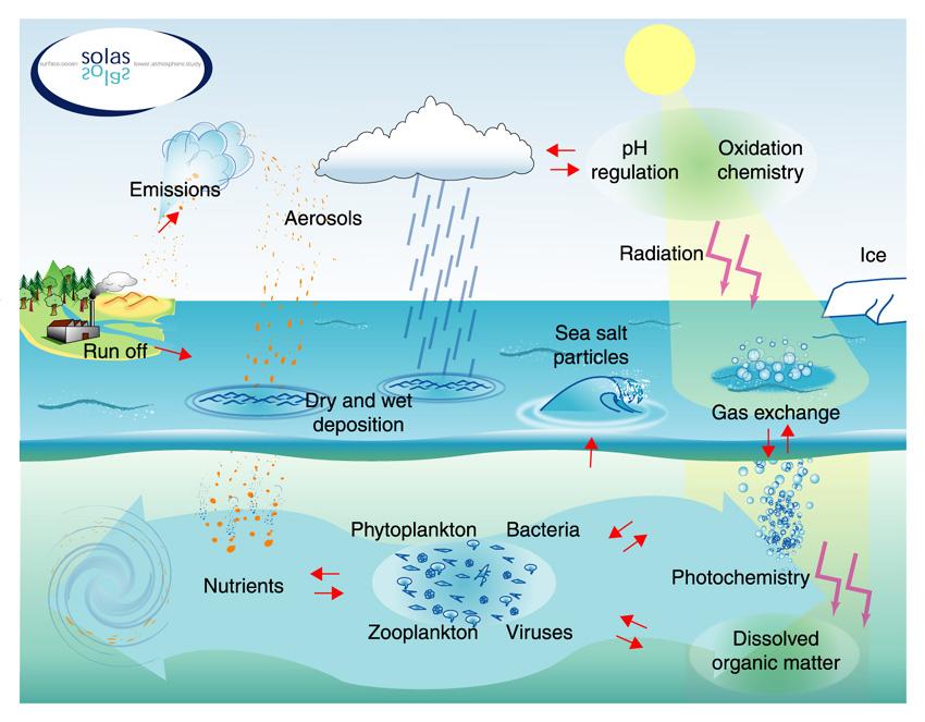 Processes influencing air-sea fluxes of CO2 CO 2 Ice melt stability & exposure Coastal Resuspension Circulation - horizontal - vertical Salinity?