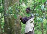 Towards the Assessment of Trees Outside Forests FAO, in cooperation with its member countries, has monitored the world s forests at 5 to 10 year intervals since 1946.
