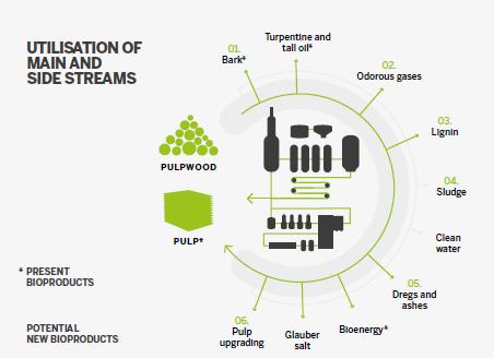 Bioproducts Mills Business Case Designed to change the traditional pulp mill P&L Taking advantage of high European energy costs to sell power and increase revenue Reducing the impact of high fibre