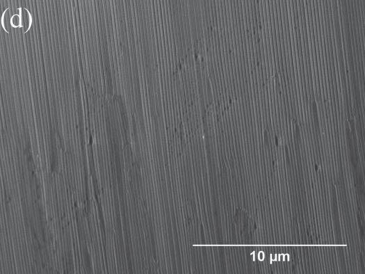 processed with CO 2 laser at various laser powers. Eutectic microstructures were evident in all the specimens fabricated.