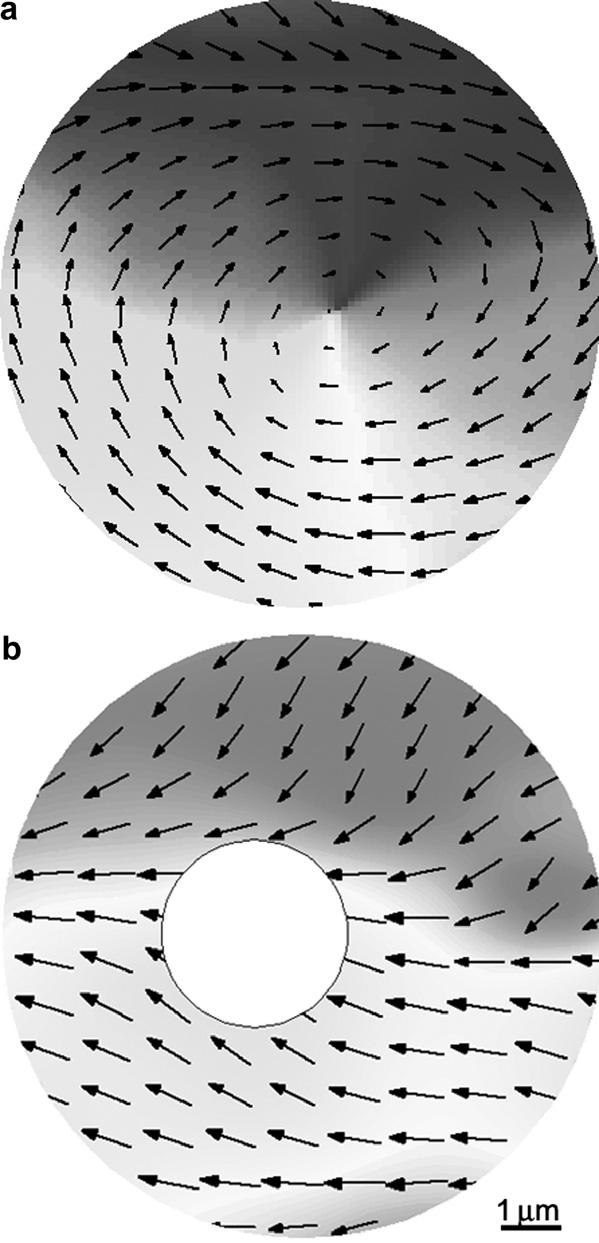 (b) SIMPA spin map of a circular Co ring element for d =10lm and d i =3lm. map shown in Fig. 3(b), it is directly visible that the previous vortex structure, shown in Fig.