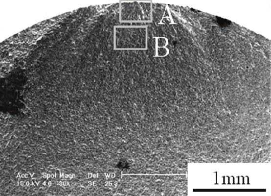 197 Fatigue Properties of Nitrided Alloy 718 at Elevated Temperature the compound layer