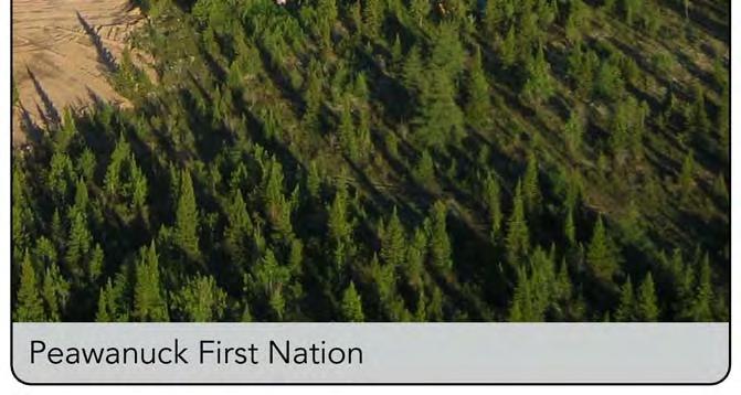 5 1 Red Lake Personal Fuelwood Licence 0.02 2 Sault Ste. Marie Conditional Commitment Letter 20.0 2 Sioux Lookout Allocation n/a 1 Sudbury Licence 309.