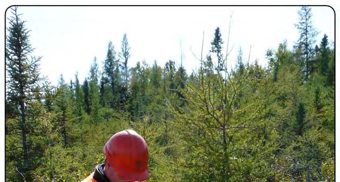 Annual Report on Forest Management - 2009/10 - Page 63 Aboriginal Peoples Training and Employment District managers have found ways to help