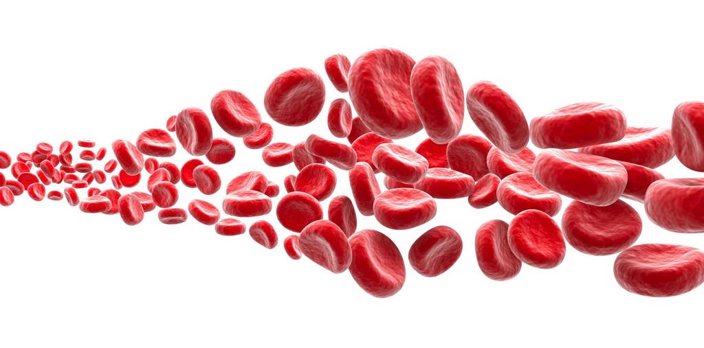 Burden of Red Blood Cell Transfusion Process Blood donation Processing, testing, &
