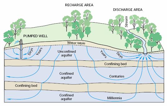 Groundwater Flow Paths Groundwater flow paths vary greatly in LENGTH, DEPTH and travel TIME