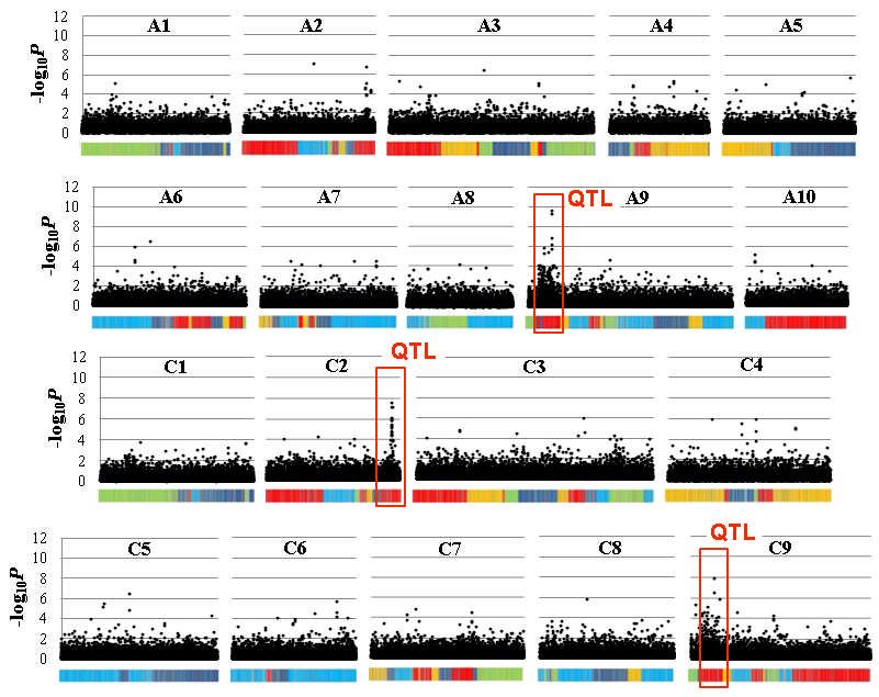 CORRELATE GENE EXPRESSION VARIATION WITH TRAIT VARIATION Trait of unknown basis: Regression analysis for glucosinolate