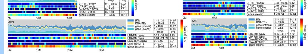 41,174 gene models