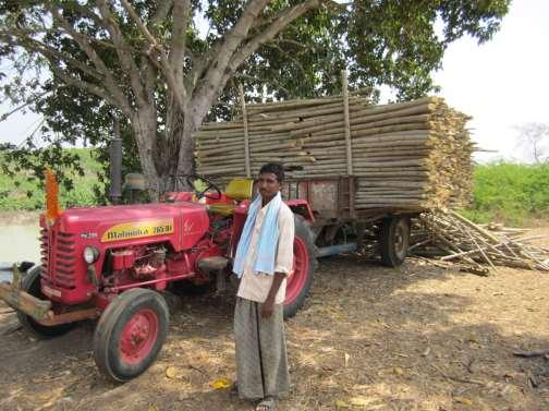 on farm-grown timber Trees in Agroforestry Systems in India =11 mill.
