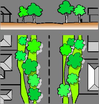 (c) Individual trees suitable for retention within the road