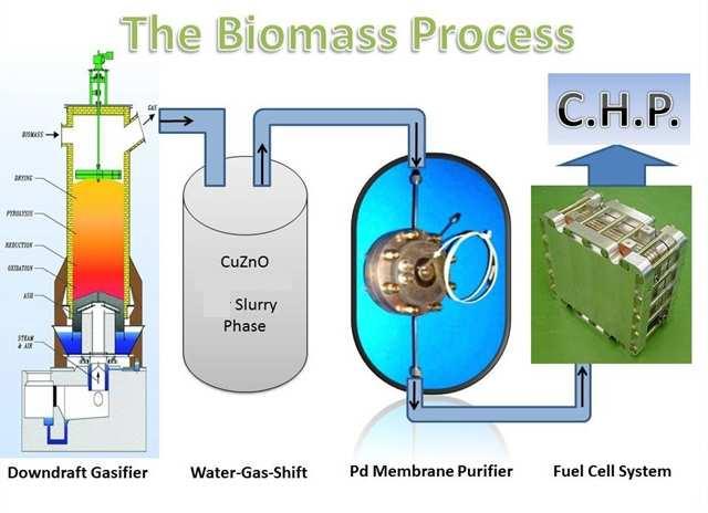 General Presentation of the Hydrogen Generation from Biomass,