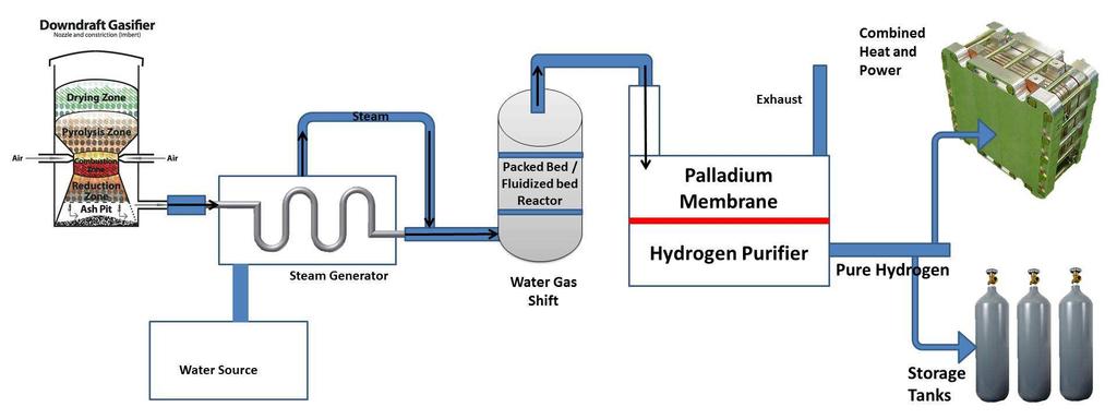Detailed Biomass Hydrogen
