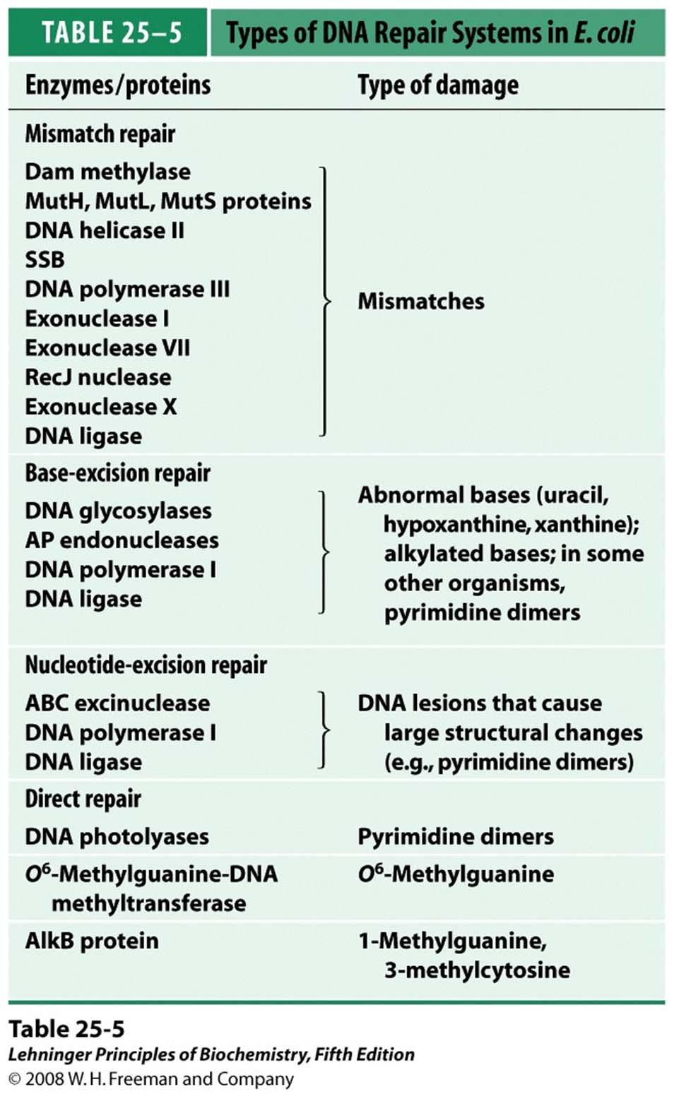TABLE 25-5 Types of DNA