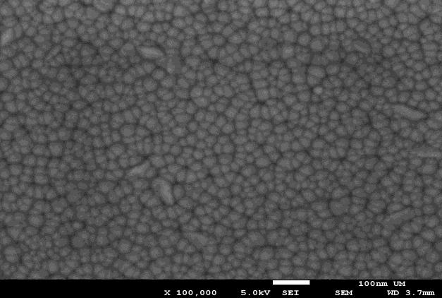 (jing Li et al, 2006). The presence of Ni seed layer and Ni dopant in the sample have enhanced the visibility of surface morphology in FESEM and AFM characterizations.