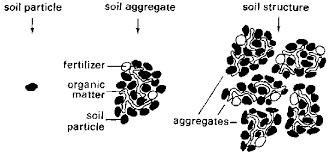 Soil structure and aggregation Soil particles have