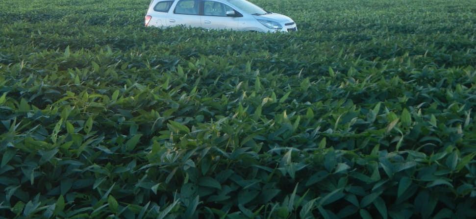 Photo: Chevy Spin in soybean field. Jan.
