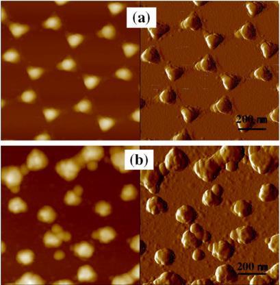 Research: AFM Characterization and Lithography AFM