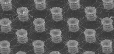 Carbon Nanotube Strain Sensors a)