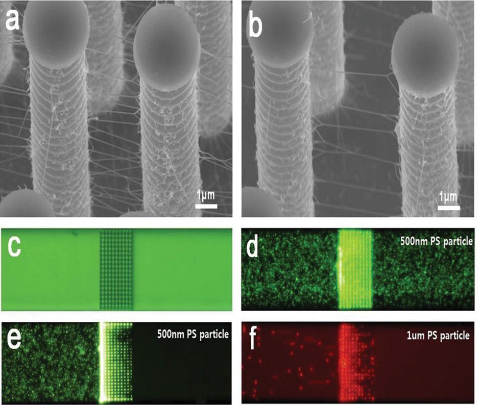 (c) Microscopic image of Si micro pillar in microfluidic channel.