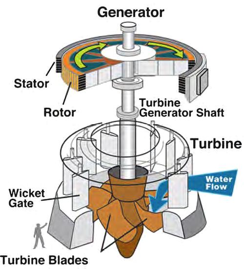 4.3. Types of turbines Propeller turbine 1.4. Kaplan turbine: Both the blades and the wicket gates are adjustable, allowing for a wider range of operation.