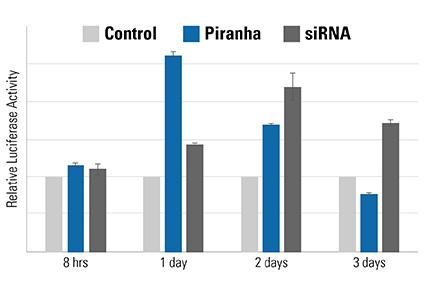 Ablation of IκBα protein is seen as soon as 8 hrs (compared to 24 hrs with sirna). Figure 4.