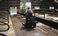 the footbath choice, the location should be such as to allow all races and yards adjacent to the footbath to be readily scraped or washed down, without any risk of contaminating the footbath.