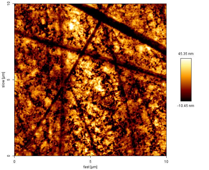 3 Atomic force micrographs: The fresh and air exposed thin films (for 3 days) AFM images of MgO thin films of thickness 3 is given in fig. 3.24.