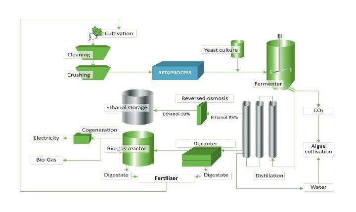 Direct Processing with Betaprocess Process flow Betaprocess Technology Advantage in using the Betaprocess Technology Energy efficient processing of biomass, such