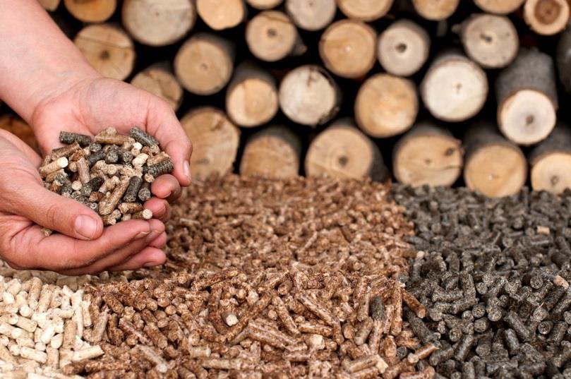 Long term strategies» Biomass quality and commodities» Variability of biomass quality is an issue, particularly for residues, herbaceous material» Turn lignocellulosic material into commodities»