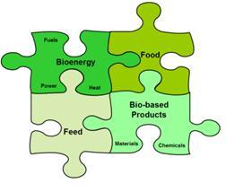 Workshop Announcement The Role of Biorefinery in a Future BioEconomy Austrian