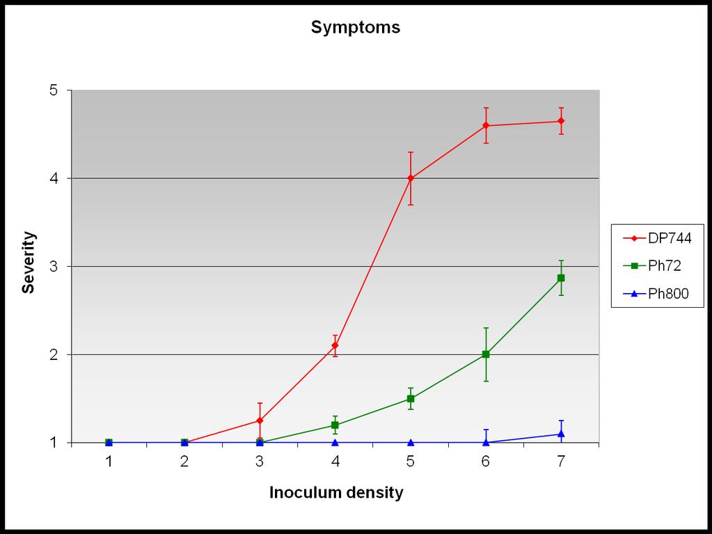 Intensity of damage seen (mortality, staining) is inoculum density dependent (Mike Davis, UC work) 0