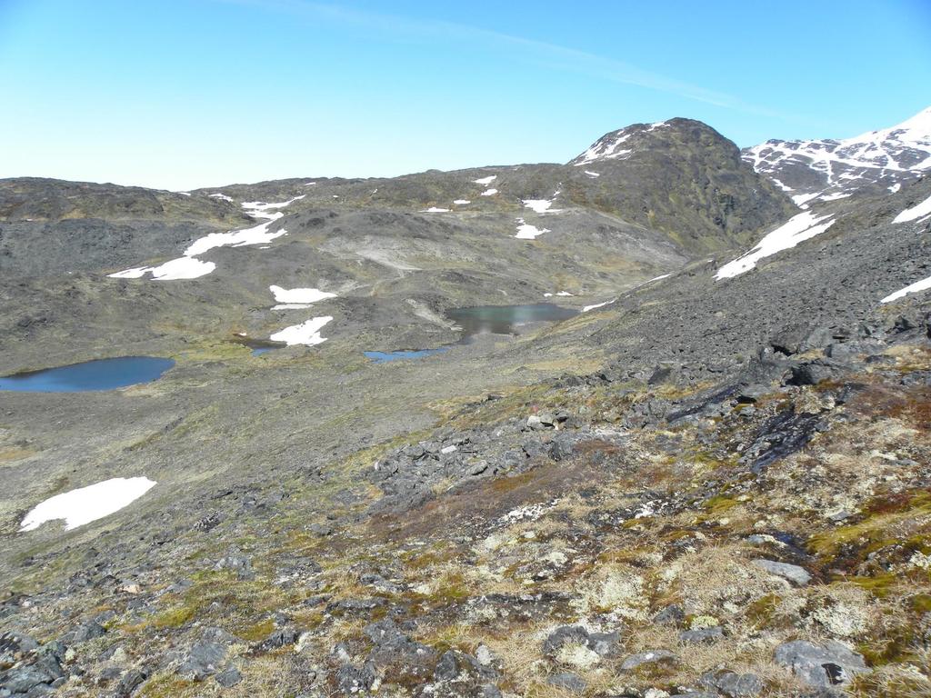 Kvanefjeld Plateau A natural bowl shaped area where lujavrite (REE ore)