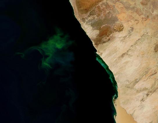 OpenStax-CNX module: m45440 4 Figure 4: The green color seen in these coastal waters is from an eruption