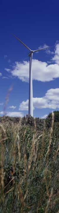 ABOUT WAINFLEET WIND ENERGY INC. Wainfleet Wind Energy Inc., (the proponent of the Wainfleet Wind Energy Project) is owned by members of the Loeffen family, who are long-time local residents.