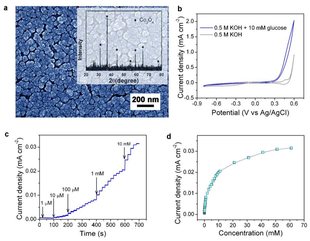 Supplementary Figure S13. (a) SEM image and XRD pattern (inset) of Co 3 O 4 nanoparticles grown on ITO glass substrate. (b) CV curves of Co 3 O 4 nanoparticles in 0.