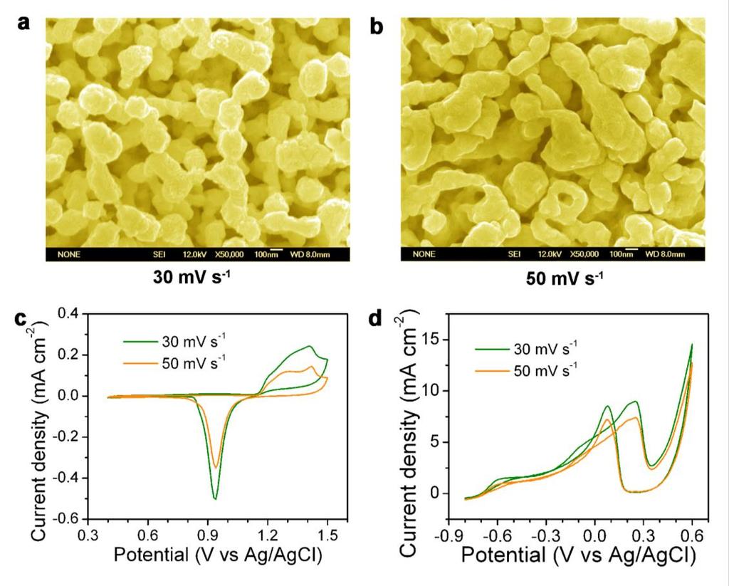 Supplementary Figure S2. SEM images of S/NPG microwires fabricated by alloying/dealloying for 50 cycles at (a) 30 mv s -1 and (b) 50 mv s -1, respectively, in a mixed electrolyte of BA and 1.