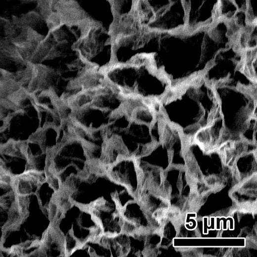 Figure S9. SEM image of Ni 2 P NS/NF after the cycle test. Figure S10.