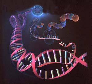 DNA sequence RNA protein metabolites Genome Transcriptome