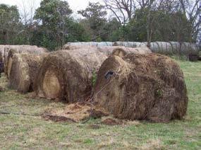 They ll eat the old hay from last year if I use liquid feed Disadvantage??? 1.