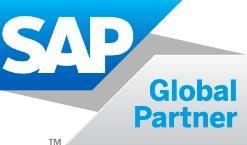 SAP technology partners SAP OEM partners SAP-Bildungspartner (Germany only) The partner levels and logos for these partners are SAP partner and SAP global partner.