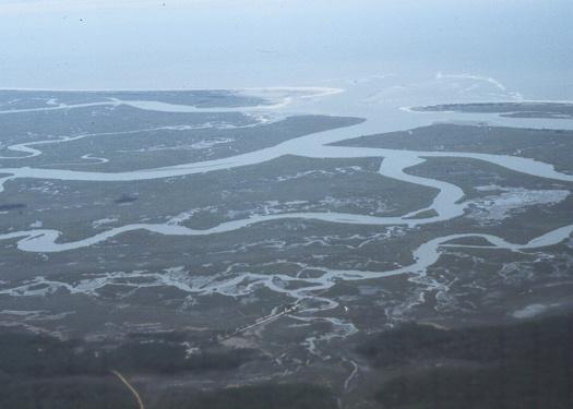 SCECAP Approach Targets two major habitat types Tidal creeks, larger open water