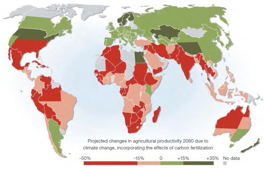 Impact of Climate Change on Agriculture by 2080 - The poorest areas of the globe are the most challenging to agriculture - Intense biotic (pests) and abiotic (drought, soil acidity, low nutrients,